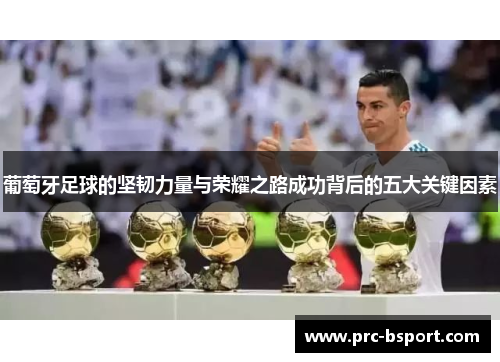 葡萄牙足球的坚韧力量与荣耀之路成功背后的五大关键因素
