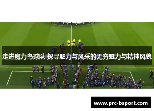 走进魔力鸟球队 探寻魅力与风采的无穷魅力与精神风貌