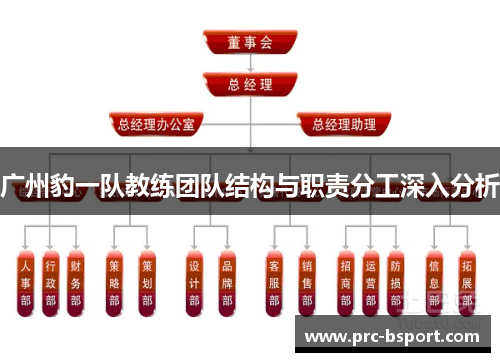 广州豹一队教练团队结构与职责分工深入分析