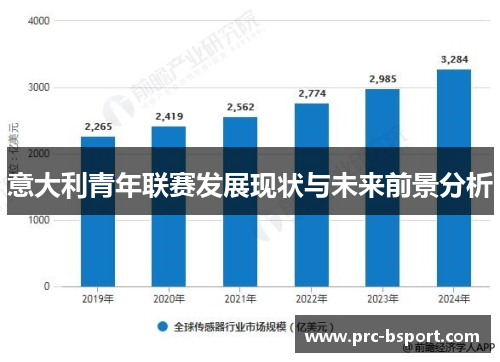 意大利青年联赛发展现状与未来前景分析