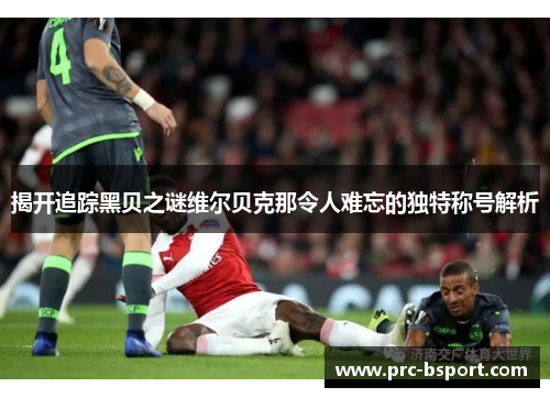 揭开追踪黑贝之谜维尔贝克那令人难忘的独特称号解析