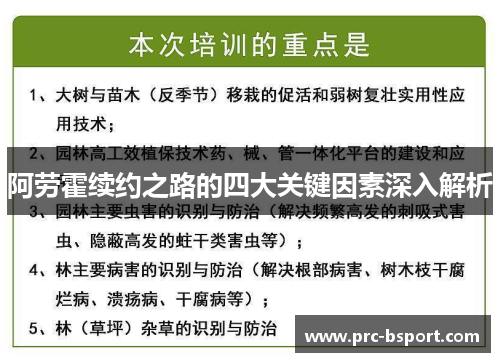 阿劳霍续约之路的四大关键因素深入解析