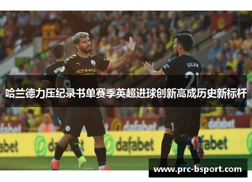 哈兰德力压纪录书单赛季英超进球创新高成历史新标杆 哈兰德力压纪录书单赛季英超进球创新高成历史新标杆