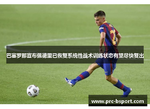 巴塞罗那宣布佩德里已恢复系统性战术训练状态有望尽快复出 巴塞罗那宣布佩德里已恢复系统性战术训练状态有望尽快复出